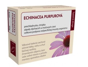 echinacea čaj na imunitu