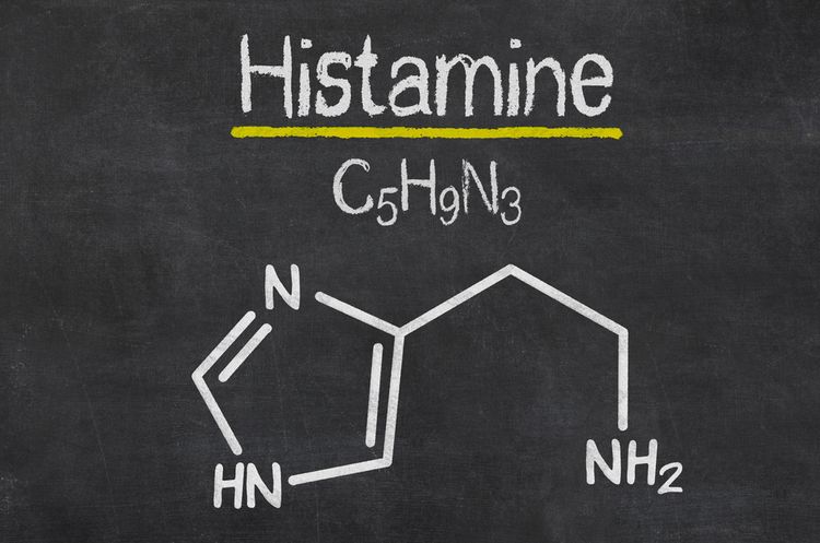 histamin 