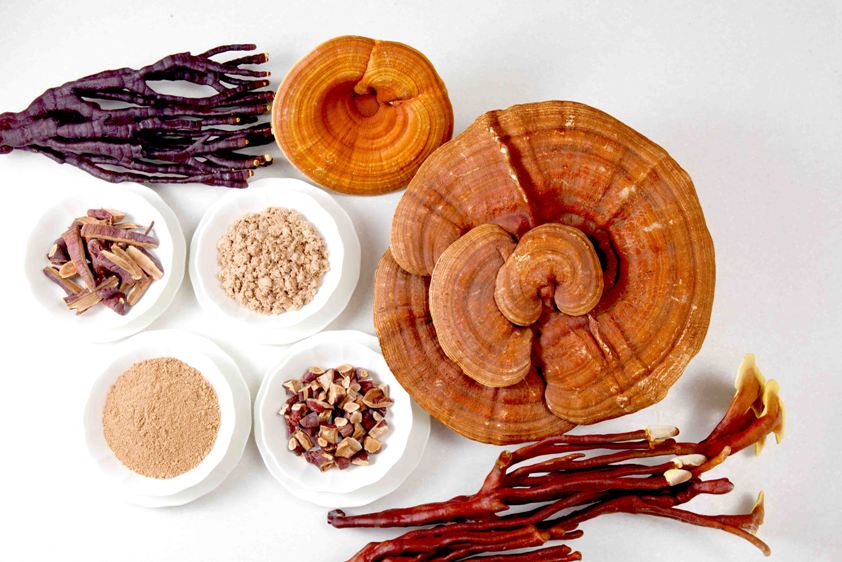 reishi ganoderma - stará čínska medicína